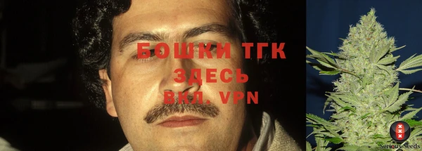 соль ск Кулебаки