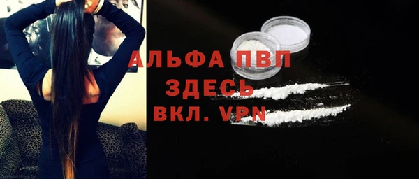 гашик Краснослободск