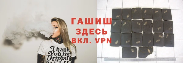 гашик Краснослободск