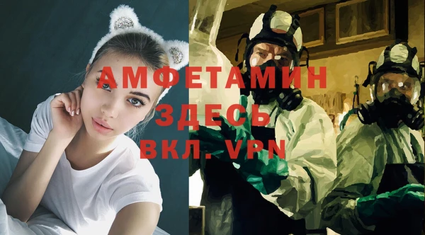 гашик Краснослободск