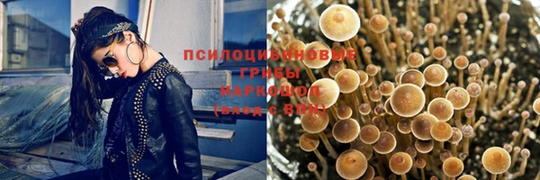 ешки Кукмор