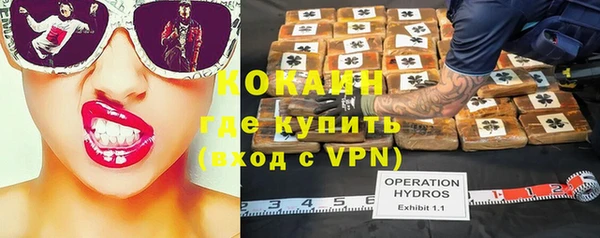 соль ск Кулебаки